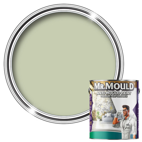 Anti mould wall paint - wall, sage