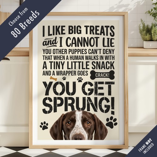 Funny dog treats - dog, lyric