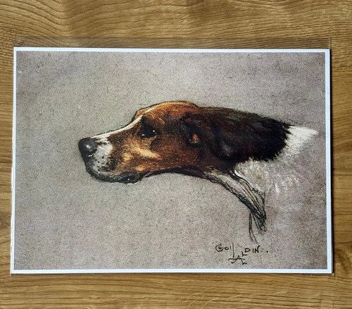 Cecil aldin pointer - aldin, dog