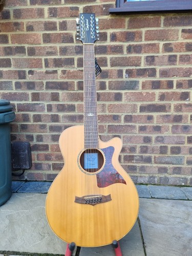 Electro acoustic guitar used - electro,