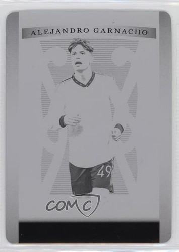 2023 leaf trinity - leaf, clear
