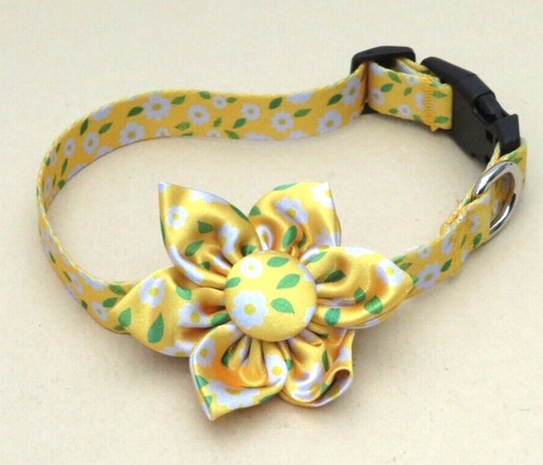 Fancy flower collar - flower,