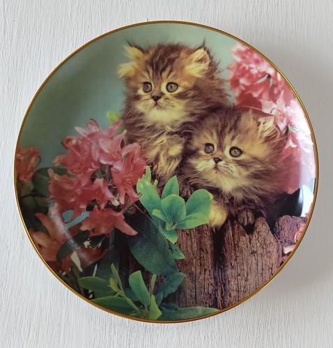 Cat wall plate purrfect - cat,