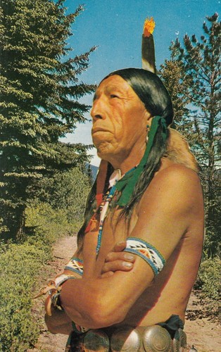 Vintage postcard native - vintage,