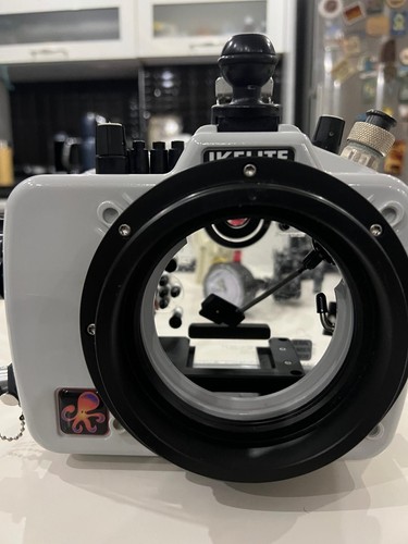 Ikelite 200dl underwater - ikelite,
