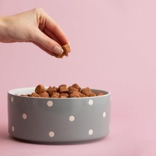 Mason Cash Grey Polka Dot Dog