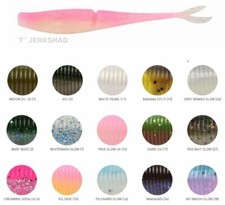 Daiwa 2020 BaitJunkie 7"