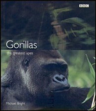 Gorillas: the Greatest Apes By