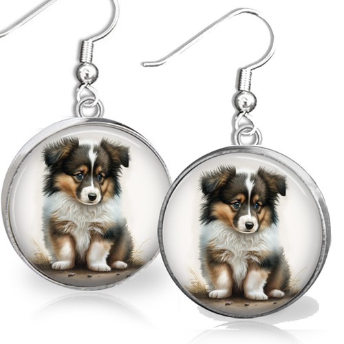 Shetland sheepdog sheltie - shetland,