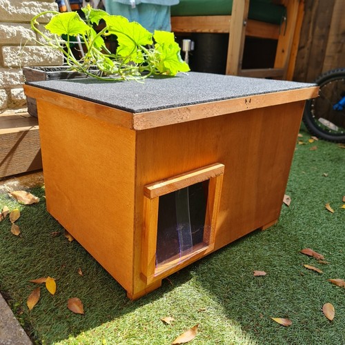 Outdoor insulated cat house - outdoor,