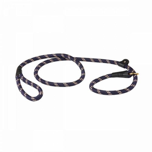 Weatherbeeta leather slip - weatherbeeta, dog