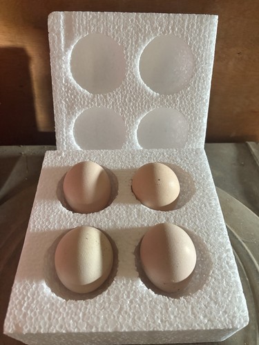 Four fresh eggs for eating - four,