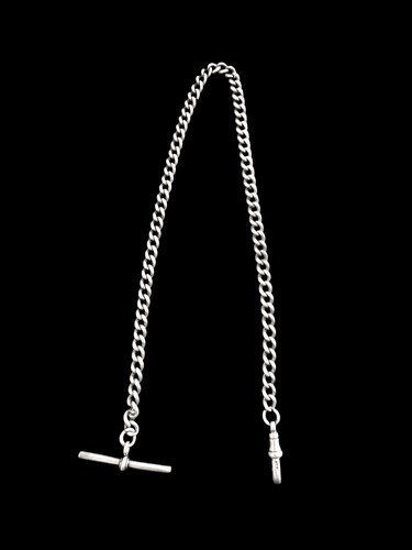 1898 sterling silver albert - sterling,