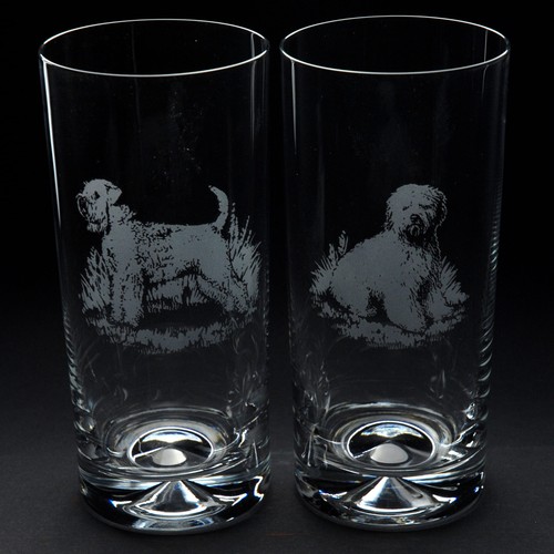 Wheaten terrier dog highball - wheaten,