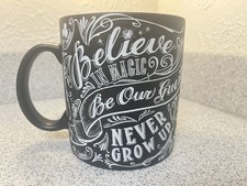 Disney Parks Believe in Magic