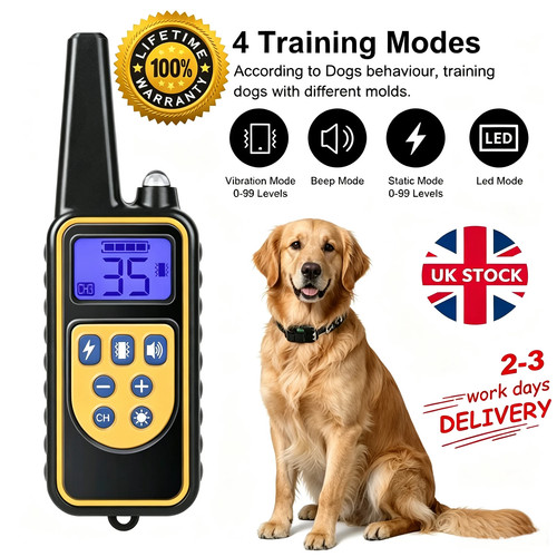 800m electric pet - 800m,