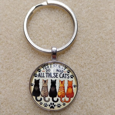 absolutely gorgeous cat