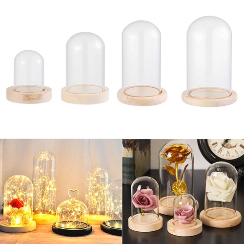 Glass dome display - dome,