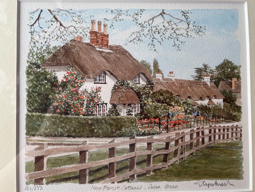 New forest cottages - new,