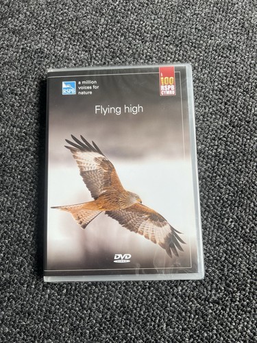 Flying high rspb cymru - flying,