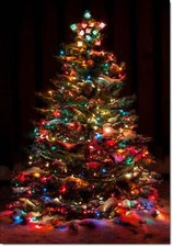 Doodlecards Pack of 10