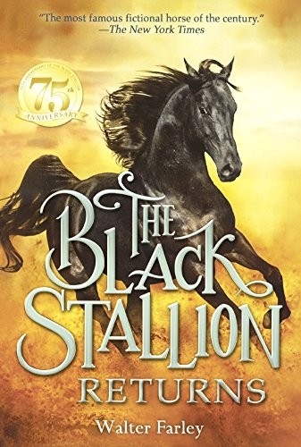 The black stallion - the,
