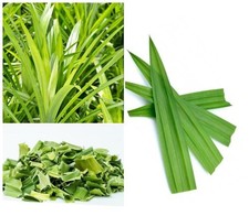 Dried Organic Natural Rampe Leaf Pandan Pandanus Amaryllifolius 50g Free Shiping