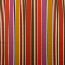 P KAUFMANN NEXT WAVE MANGO