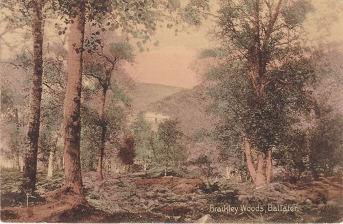 Brackley woods ballater - woods,,