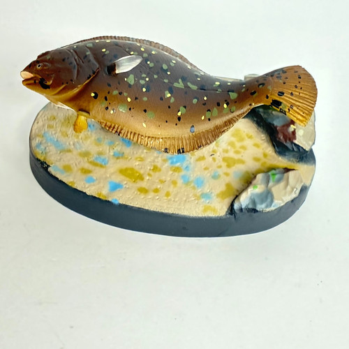Colorata salt water fish - colorata,