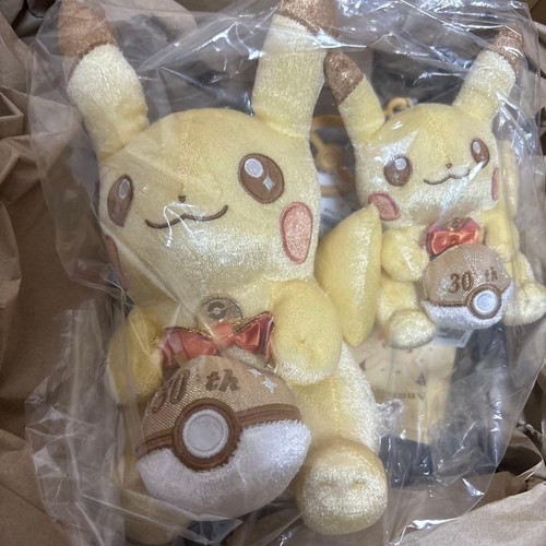 Pokemon center pikachu plush - center,