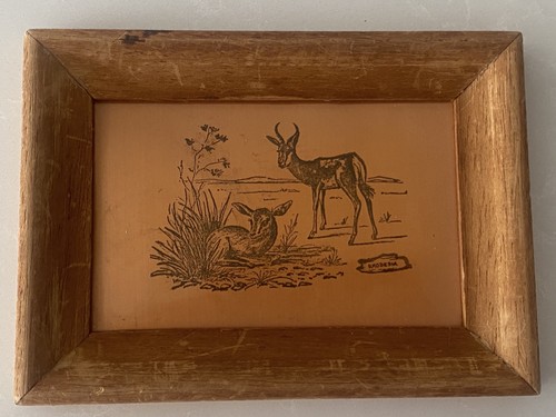 Vintage rhodesia copper - rhodesia,
