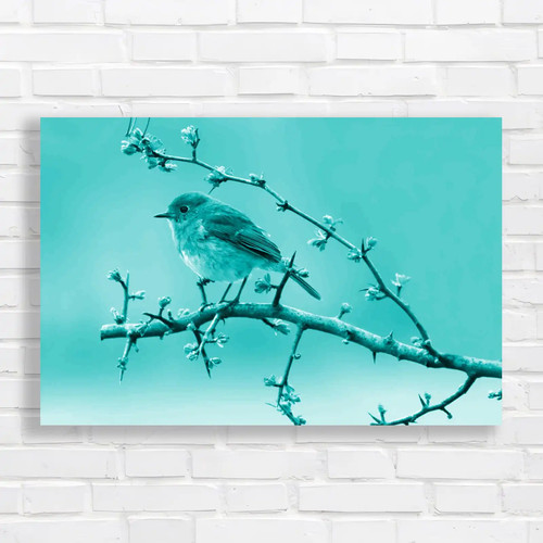 Robins spring hawthorn tree - robins,