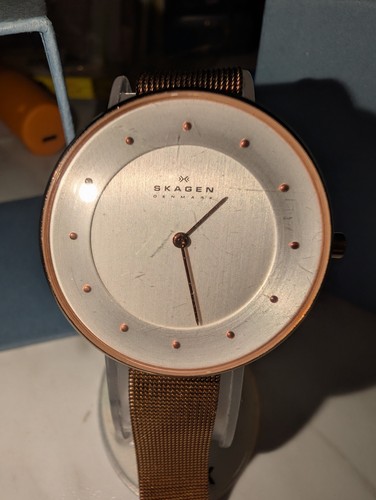 Skagen skw2142 ladies - skw2142,