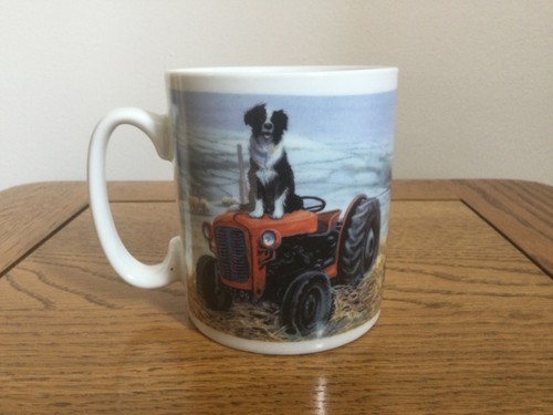 Otter house border collie - otter,
