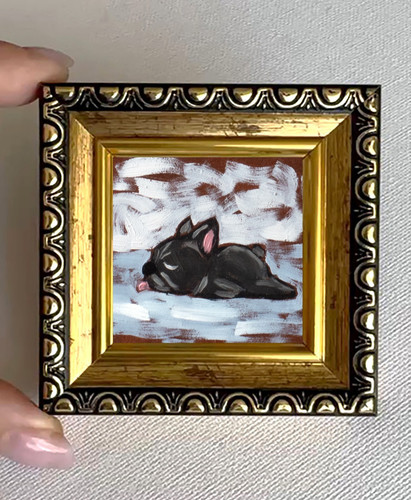 Tiny sleeping blue french - tiny,