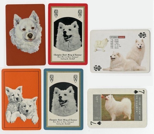 Samoyed vintage collectable - vintage,