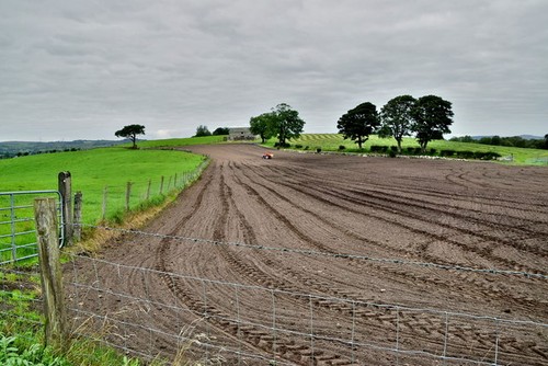 Photo 6x4 carony townland - 6x4,