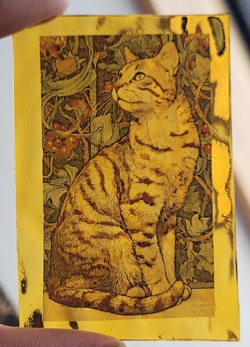 Stained glass ginger tabby - glass, cat