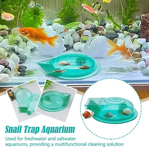 Aquarium snail trap - snail,
