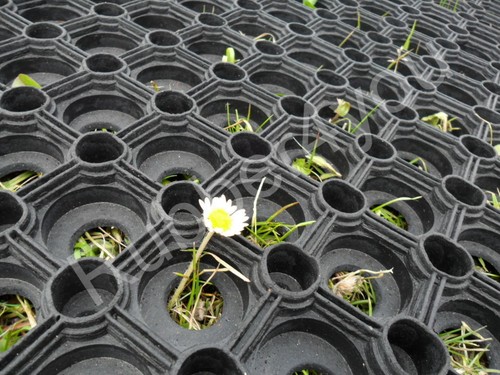 22mm gateway grass - 3, mats