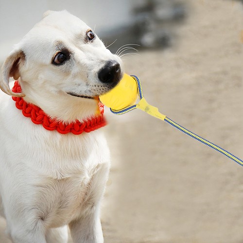Small dog rope toy elastic - toy,
