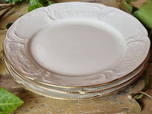 Rosenthal black classic - , rose