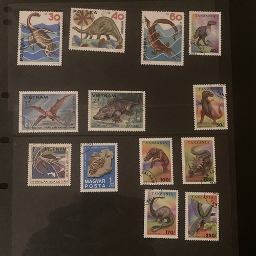 Used dinosaur wild animal - used,