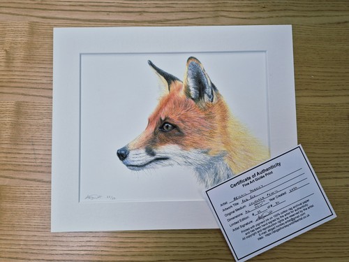 The fox limited edition - limited, fine