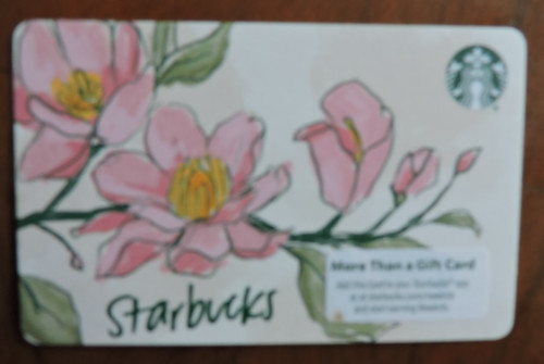 Starbucks usa spring - usa, flowers