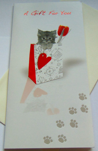 Money gift card - money/gift, card/voucher
