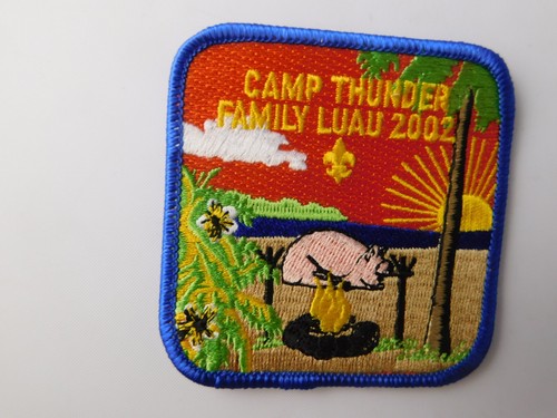 Boy scouts bsa - boy,