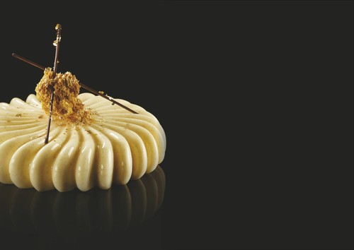 Pavoni modern cake - modern,