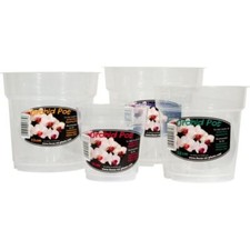 Growth technology clear orchid - technology,